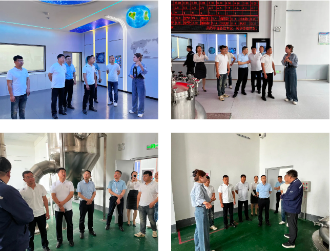 68255e53b2e24.png 1747279437956.png